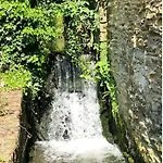 Seaves Mill Holiday home *