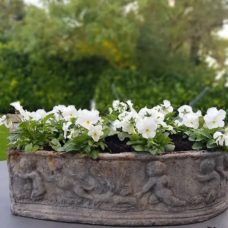 Seaves Mill 펜션 *