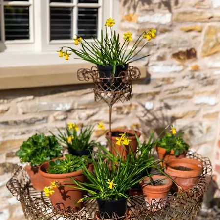 Vakantiehuis Seaves Mill *