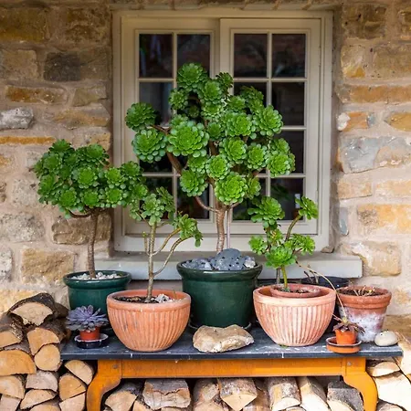 Seaves Mill Tatil Evi *